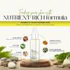 10% Vitamin C Serum with Alpha Arbutin, Turmeric & Aloe Vera Extracts | Plant-Powered, Science-Backed Formula for Skin Brightening & Dark Spot Reduction view 3