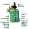 Jamaican Black Castor Oil for Hair Growth. Strengthens & Hydrates Thinning, Dry Hair for a Healthier-Looking Scalp. For Women & Men  Vegan & Unscented 2oz Serum (Pack of 2) view 2