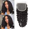 5x5 Transparent Lace Closure Human Hair 3c4a Burmese Curly Pre-plucked Vivid Hairline Bouncy Spiral Curly Ends Light Bleached Knots 16inch view 1
