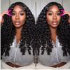 5x5 Transparent Lace Closure Human Hair 3c4a Burmese Curly Pre-plucked Vivid Hairline Bouncy Spiral Curly Ends Light Bleached Knots 16inch view 3