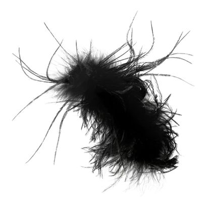 ETHZZLE Plume Hair Claw Clip for Women Non-slip Creative Jaw Clip Hair Accessory Elegant Design for Parties Daily Wear