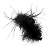 ETHZZLE Plume Hair Claw Clip for Women Non-slip Creative Jaw Clip Hair Accessory Elegant Design for Parties Daily Wear view 1