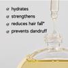 I.n.d.e W.ild Champihair Oil with Ayurvedic Actives and Superherbs, Miracle Hair Treatment, 30ml view 3