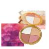 Eye & Cheek Palette - Eyeshadow and Highlighter Makeup, Multifunctional Makeup Palettes Contour Kit, Shimmer Glow Face Highlighter Palette for Women, Natural Glow Contour Powder view 1