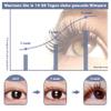 Renewing Lash Serum,Lash Serum for Eyelash Growth Peptide-Infused, Longer-Looking Natural,Natural Formula Vegan & Gentle Safe for Sensitive Eyes (5 mL) view 2