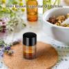 100 Brown Glass Essential Oil Bottles With 2 Pipettes, 2Ml Mini Perfume Containers With Black Caps view 2
