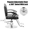 Professional Heavy Duty Hydraulic Salon Chair, 330 lbs Weight Capacity Stylist Chair, With 360 Smooth Swivel & Rolling Base, Leather Beauty Salon Equipment for Barbershops, Hairdressers (Black) view 4