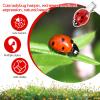 10 PCS Fun Ladybug Hair Clips, Cute Lady Bug Barrettes Funky Insect Hair Clips Whimsical Accessories for Girls Women Back to School Halloween Cosplay Themed Party view 3