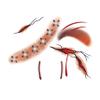 10-Pack Multi-Style Temporary Face Tattoos: Halloween Fake Scars, Chinese Fairy Glitter | Waterproof, Skin-Safe | For Adult Festivals, Cosplay, Holiday Bashes8 view 1