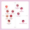Peripera Ink Jellable Tint, Lip Stain, Korean Lip Tint, High Pigment Color, Longwear, Weightless, Moisutizing, Hydrating (012 All That Pink) view 4