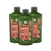 Yves Rocher Shampoo Nourishing & Restoring Jojoba Oil Deep Hydration & Repair Silicone-Free - 300 ml / 10.1 fl oz Set of 3 view 1