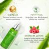 Aloderma Aloe Hydrating Set - Botanical Hydrating Mist, Aloe Vera Gel view 3
