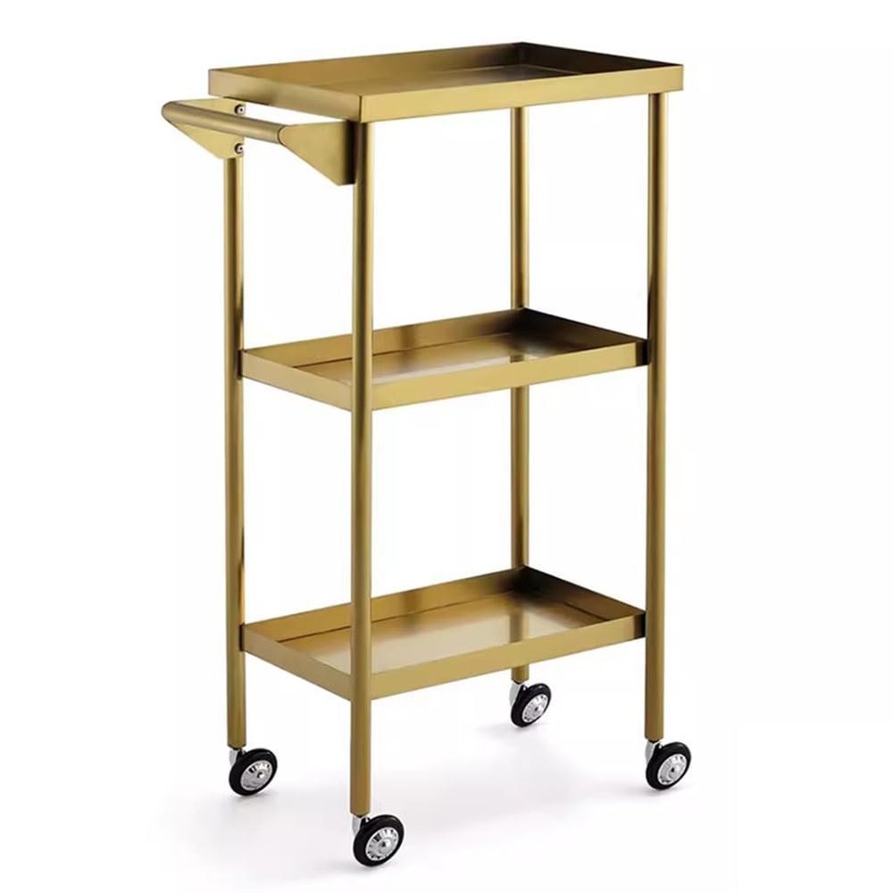 Metal Rolling Beauty Salon Styling Trolley, Salon Storage Cart, Tattoo Tray Organizer, with Slide Out Hairdryer Holder(Gold 44x32x86cm)