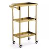 Metal Rolling Beauty Salon Styling Trolley, Salon Storage Cart, Tattoo Tray Organizer, with Slide Out Hairdryer Holder(Gold 44x32x86cm) view 1