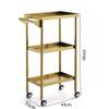 Metal Rolling Beauty Salon Styling Trolley, Salon Storage Cart, Tattoo Tray Organizer, with Slide Out Hairdryer Holder(Gold 44x32x86cm) view 3