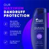Head & Shoulders Dandruff Shampoo, Clinical Strength Advanced Oil Control, Our Maximum Anti-Dandruff Prescription-Strength Formula, Flake Protection, Seborrheic Dermatitis Relief, Citrus, 13.5 Fl Oz view 2