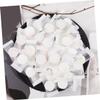 Beatifufu 100pcs Compressed Facial Masks Candy Shape Non-woven Salon Beauty Paper Disposable Travel Facial Skin Treatment Set view 4