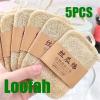 5PCS Natural Real Loofah Dish Scrubber Convenient Dish Pot Washing Cloth Quick Drying Loofah Cleaning Pad view 2