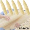 1pcs Natural Bath Loofah Exfoliating Body Sponge with Rope Loofah Scrubber for Skin Care Spa Shower Body Bath Brush view 2