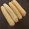 30-35CM Washing Dishes Cleaning Tools Loofah Exfoliating Scrubber Natural Luffa Bath Shower Body Massage Sponge Bathroom Kitchen(40-45cm) view 3