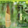 About 30-40cm Whole Natural Organic Loofah Sponges Exfoliating Shower Bath Loofah Luffa Body Scrubbers for SPA Beauty Skin Care view 4