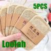 5PCS Natural Loofah Dishwashing Brush Double-Sided Easy to Clean Dishwashing Cloth Quick Drying Nonstick Loofah Cleaning Brush view 2