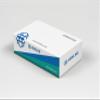 1 Box of Lipase Plus Cosmetic Solution Orkline  12 vials of 10 ml view 1