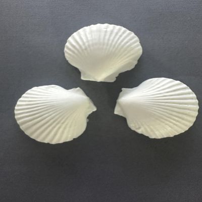 Decorative Seashell Soap Set White, 3-Piece Set, Coastal Beach Theme, 3 Inch Scallop Shells, Vanilla scented