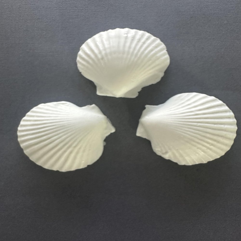 Decorative Seashell Soap Set White, 3-Piece Set, Coastal Beach Theme, 3 Inch Scallop Shells, Vanilla scented