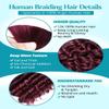 100g 3 Bundles/Pack Human Braiding Hair for Boho Braids Curly Boho Hair for Braiding Knotless 12A Deep Wave Bulk Bohemian Color 99J 18 Inch Burgundy view 4
