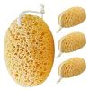 NinthAvenue Basics 4pcs Foams Shower Sponge: Body Scrubber for Exfoliating and Cleansing - Soft Reusable Honeycomb Bath Sponge - Bath Cleaning Tool for Women and Men view 1