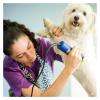 3 3/4FC Ceramic Detachable Pet Dog Grooming Clipper Blades,Compatible For OsterA5,Compatible For Wahl KM Series Pet Clipper,13mm(A5-3 FC) view 3