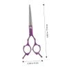 HAKIDZEL Professional Stainless Steel Hair Cutting Shears Comfortable Barber Scissors for Salon and Home Use Trimming Scissors for Hairdressers view 2
