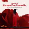 Rothea Korean Fire Camellia Cleansing Oil  Gentle Oil Cleanser for Face & Makeup, Blackhead Remover, Korean Skin Care, 6.76 fl oz / 200ml view 2