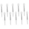 COOLHIYA 10pcs Mini Silicone Lip Brushes with Transparent Storage Box Soft Reusable Puff Makeup Applicators for Precise Lipstick Gloss Lip Treatment Application Portable and Easy to Clean view 1