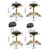 BSNANCA Adjustable Rolling Stool with Back Rest - Comfortable Swivel on Wheels for Salon, Massage, Clinic, Bar, Office Use, Heavy Duty Hydraulic Metal (A) view 2