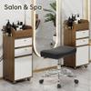 Adjustable Height Backless Rolling Stool - Leather Hydraulic Salon Chair for Spa, Tattoo, Mechanic & Garage Work - Set of 4 Low Rolling Stools view 4