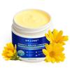 Arnica Bruise Cream Extra Strength: Fast Healing Arnica Cream for Bruising Swelling Thin Skin-Enhanced Recovery Vitamin K Creams With Arnica Montana, VK, C&E Soothing Hydrating for senior, Adult, Kid view 2