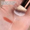 MAANGE Makeup Brush Set 19 PCS Travel Makeup Brushes Eyeshaowder Powder Concealers Foundation Professional Make Up Brush Set with Case (Coffee) view 4