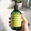 Aurivra Hydrating Ginger & Smoky Cardamom Hand and Body Wash, 98% Natural, Vegan, Gentle Moisturizing Cleanser for All Skin Types, Paraben & Gluten-Free, Eco-Certified view 3