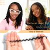 Afro Kinkys Bulk Human Hair for Twist Braiding Hair (1B, 12Inch, 30g/pack) view 3