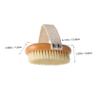 Anneome Natural Boar Bristle Shower Body Brush for Exfoliating and Massaging Skin Ergonomic Small Bath Scrubber for Daily Use Enhances Circulation and Relaxation Gift for Home Bathing view 2