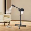750W 110V Movable Facial Steamer, Professional Pedicure Steamer Machine with Water Tank and LCD Operation Panel, Hot Ozone Face Steamer on Wheels for Facial (Black) view 3
