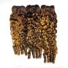 Burmese Curly Bundles Human Hair Water Wave Honey Blonde Ombre Curly Human Hair Bundles Weave with Spiral End 16 18 20 Inches 3c4a Quick Weave Hair Bundles for Women 4/27 3Pcs view 1