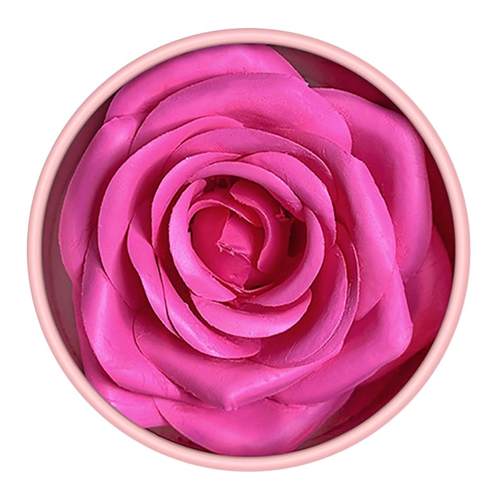 Blusher 3D Rose Face Powder Lightweight Long-lasting Blusher Cheek Makeup for Women High Glossy Finish (02)