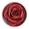 Blusher 3D Rose Face Powder Lightweight Long-lasting Blusher Cheek Makeup for Women High Glossy Finish (01) view 1