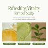 anillO Lime Sunday Refresh Hair Shampoo & Conditioner with Brush Set - Deep Cleansing & Damage Repair Korean Hair Care with Tangerine, Proteins & Ceramides - Silicone & Sulfate Free (2EA, 1.85 fl oz) view 4