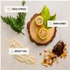 CH 2-in-1 Shampoo and Conditioner, Fresh Timber Scent, 16 fl oz view 2