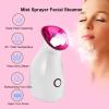 Home Use Facial Humidifier, Face Vapor Machine with 110ML Capacity, 40C Steam from Mist Outlet & One-Touch Operation, for Deep Cleaning, Unclogs Pores, Sinuses Moisturizing view 2