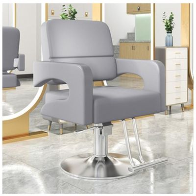 360 Barber Chair, Heavy Duty Hydraulic Salon Chair with Height Adjustable, Comfortable Backrest & Handrail, Waterproof Design Salon Equipment for Hair Stylist,Silver,D